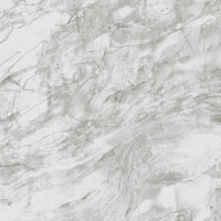 Obkladové panely do interiéru Vilo - Motivo PD250 Classic - Grey Marble /0,25 x 2,65 m